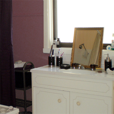 bathroomdetail